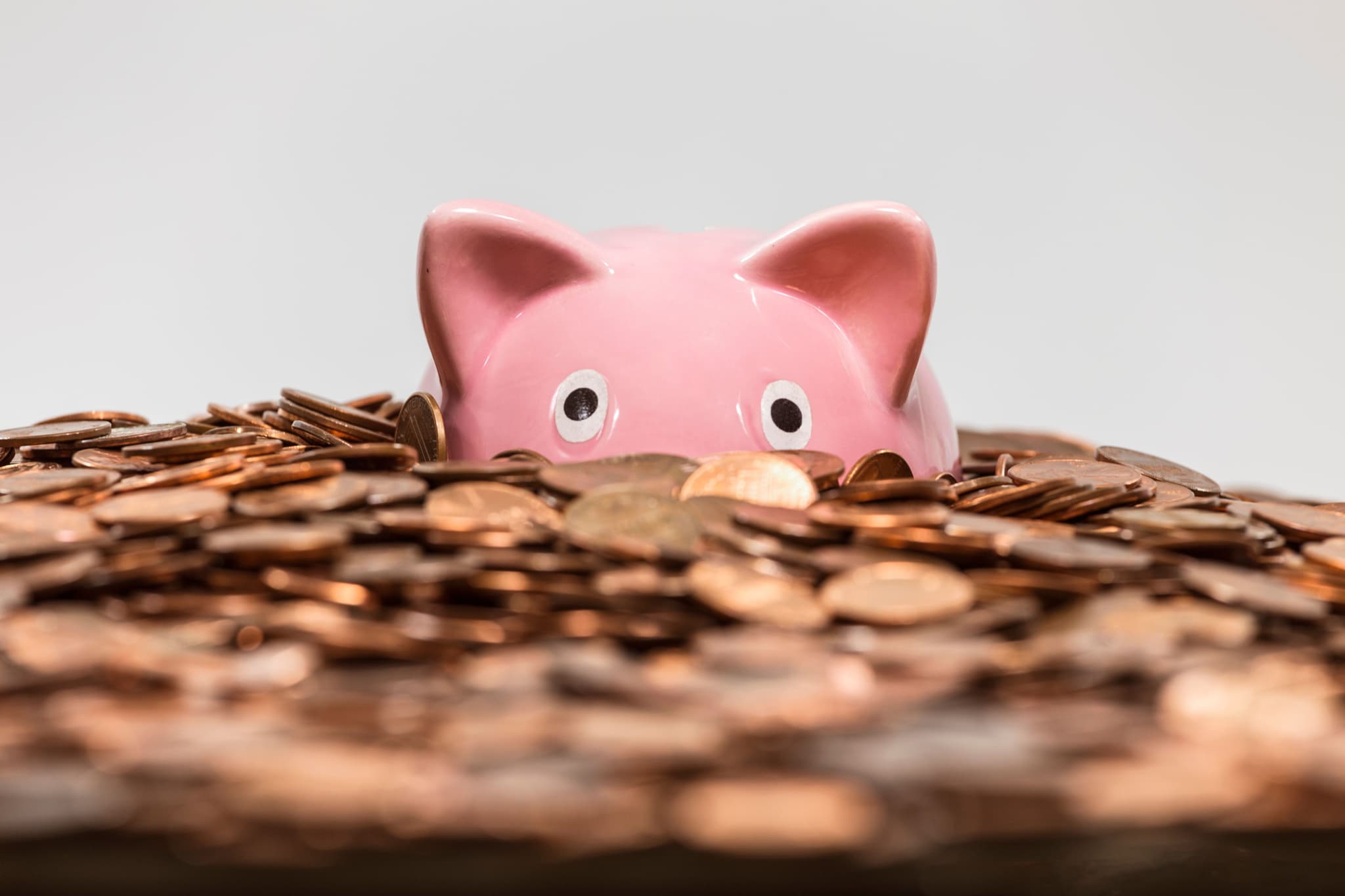 Image of Piggy Bank submerged in coins