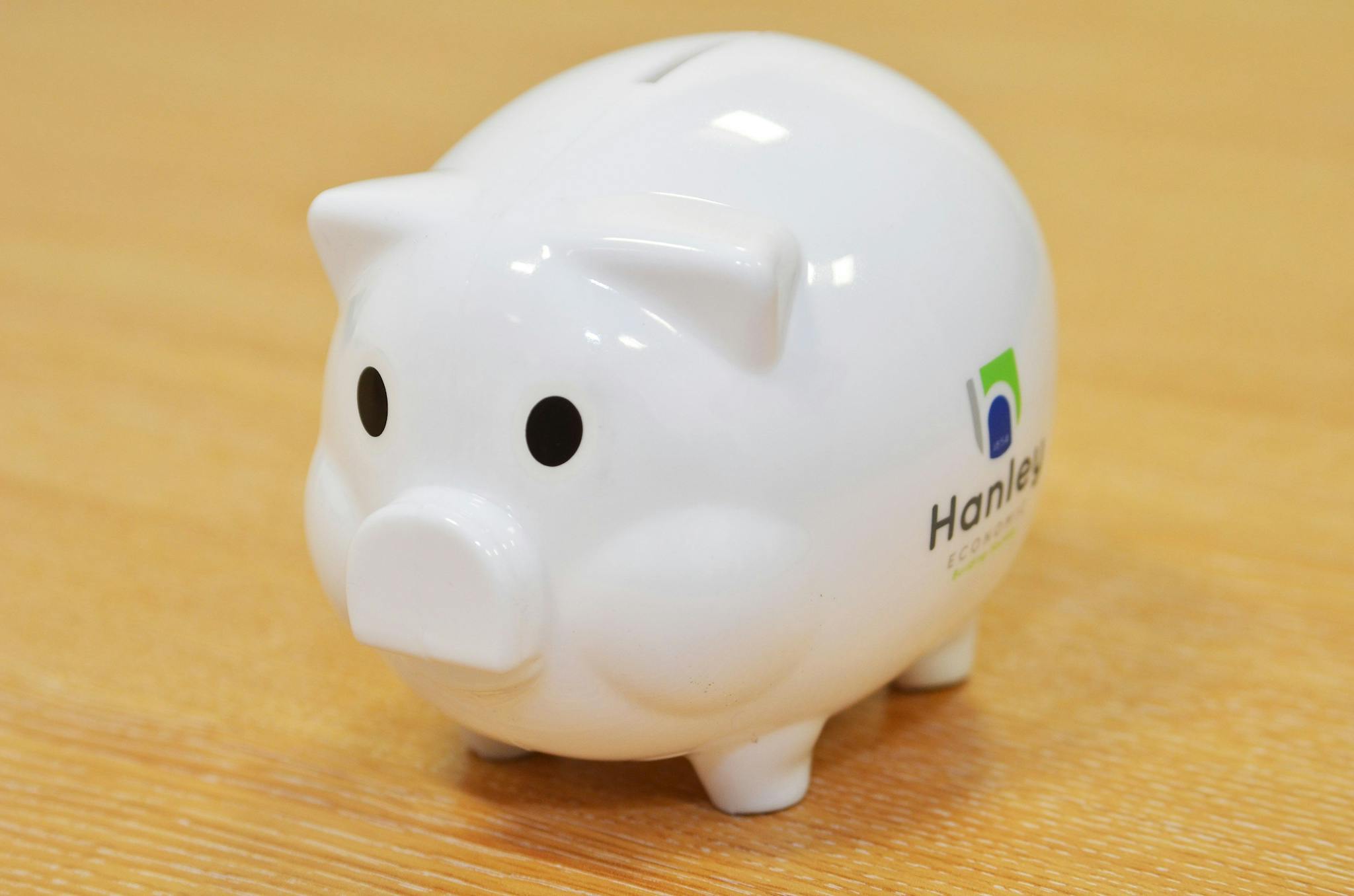 Image of Hanley Economic Branded Piggy Bank 