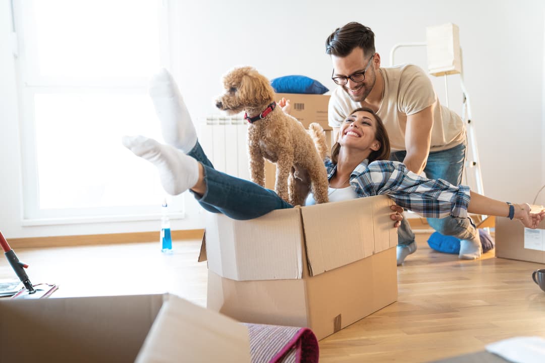 Should first-time buyers wait for Your First Home, or explore their options now?